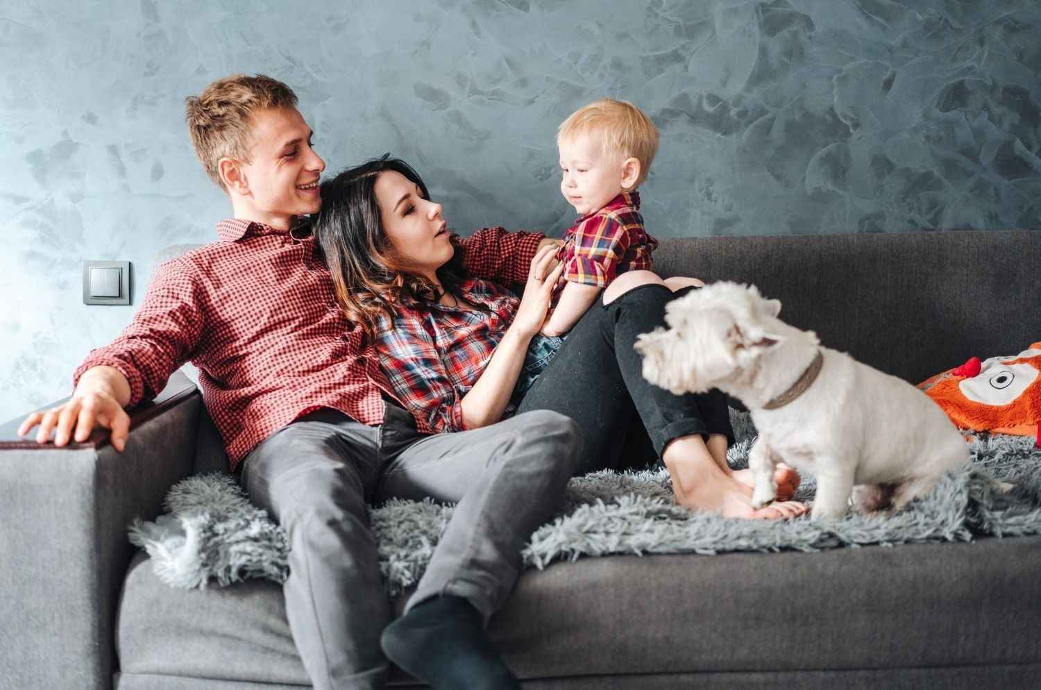 Artesia Crossings apartments pet policy