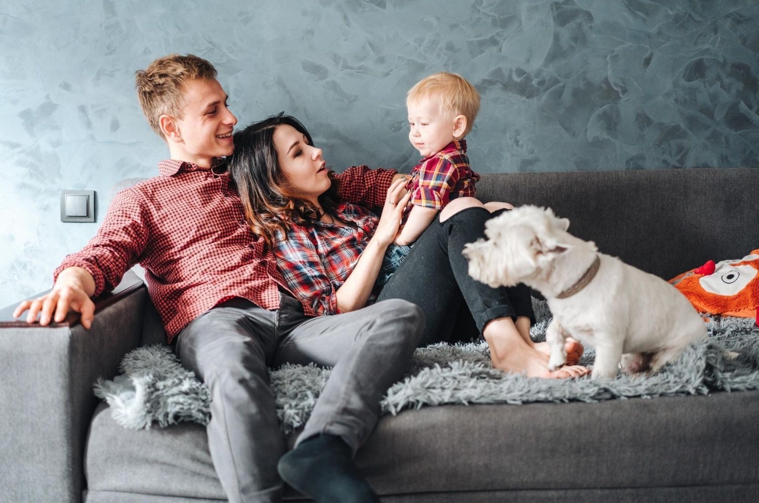 Artesia Crossings apartments pet policy